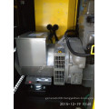 6kw~600kw Permanent Magnet Copy Stamford Brushless Generator